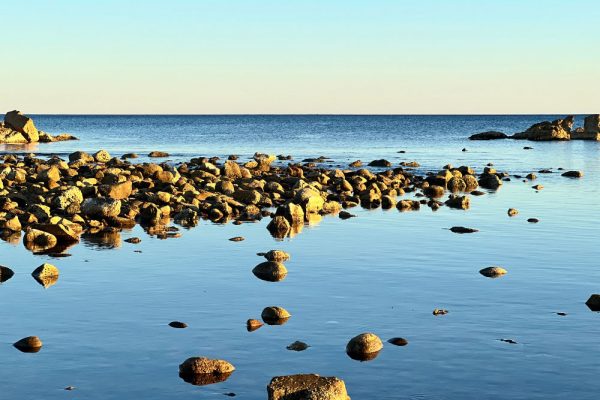 rocks-in-the-sea